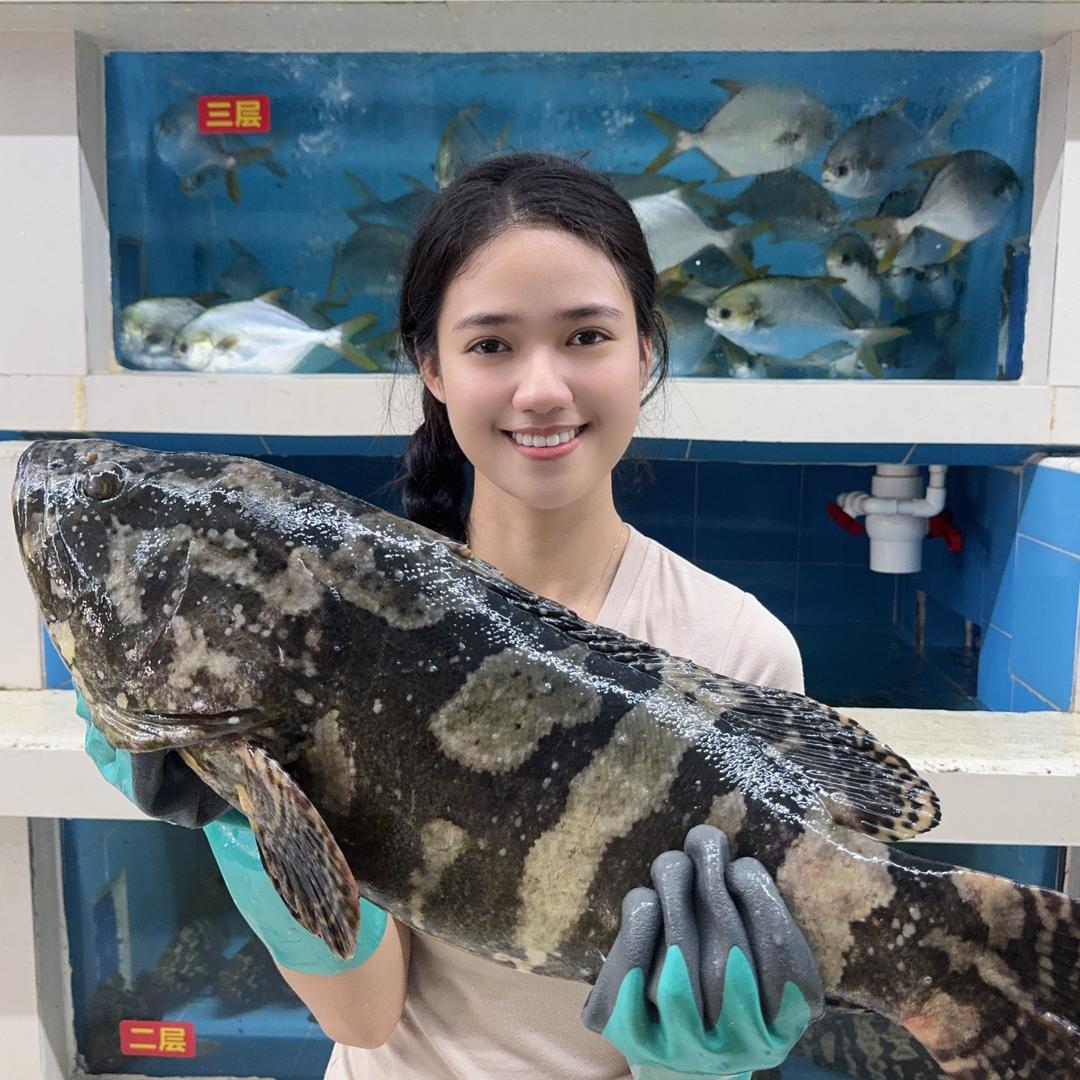 肥宝兄妹海鲜（海先到）