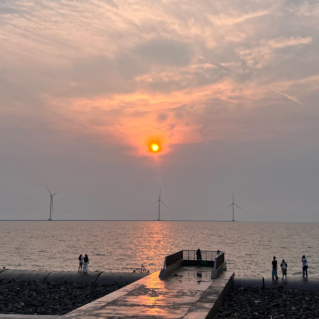 ૮ ºﻌºა站岗