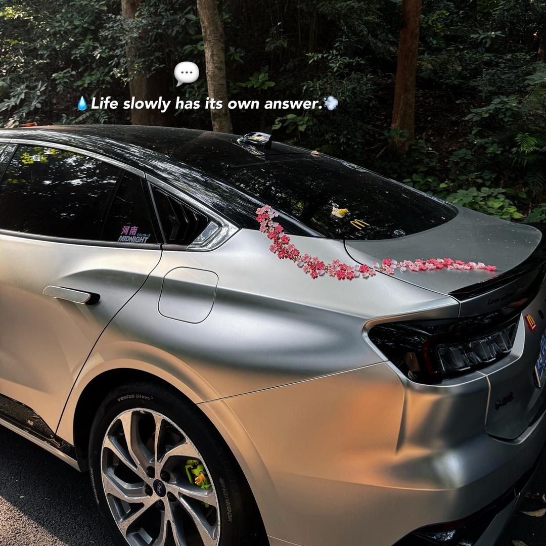 怎么肥四( ‾᷄ ‾ )