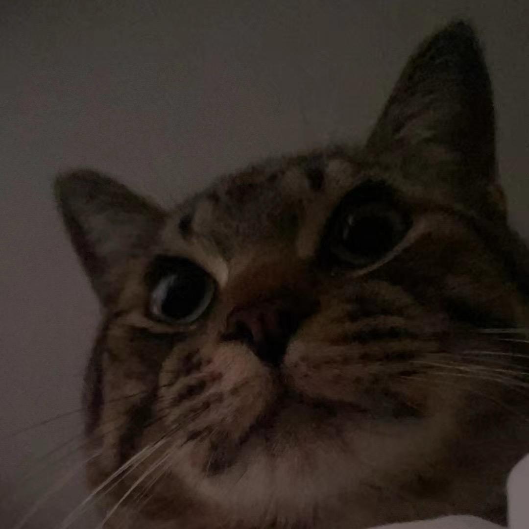 冰封🌙