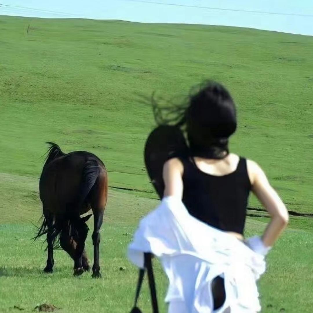 骑着骆驼去南极