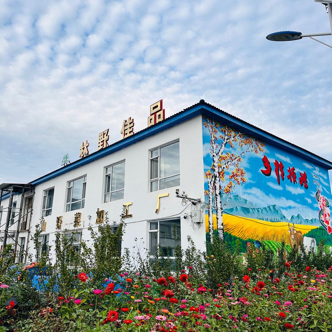 林野佳品干货旗舰店