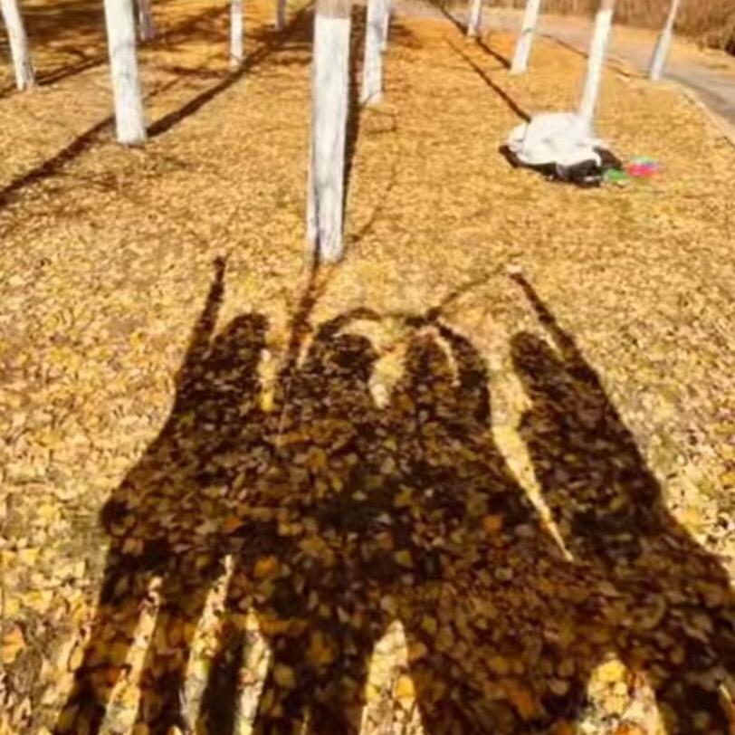 🌈 X ⊹꙳✧˖iu