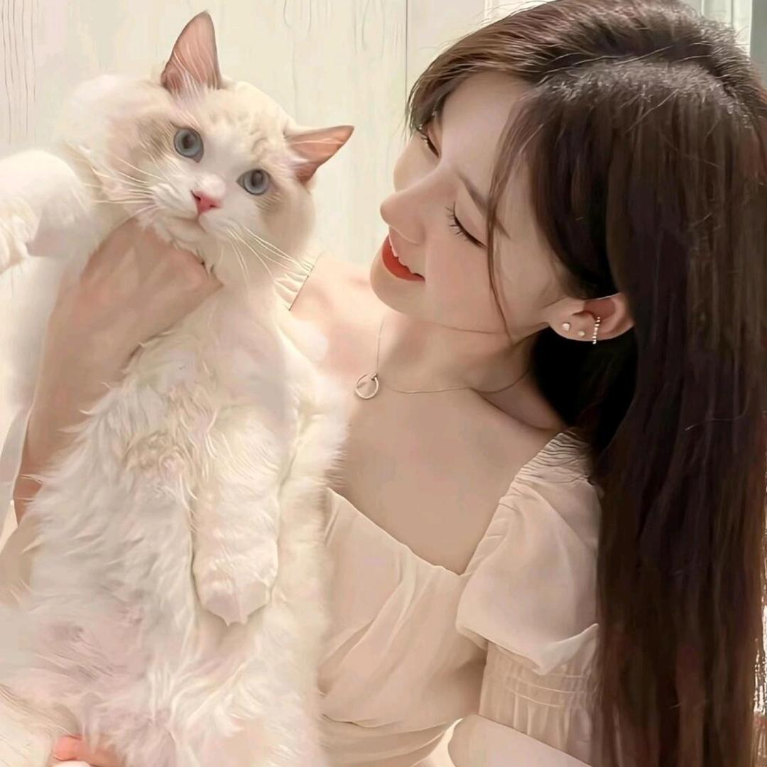 爱吃猪古力