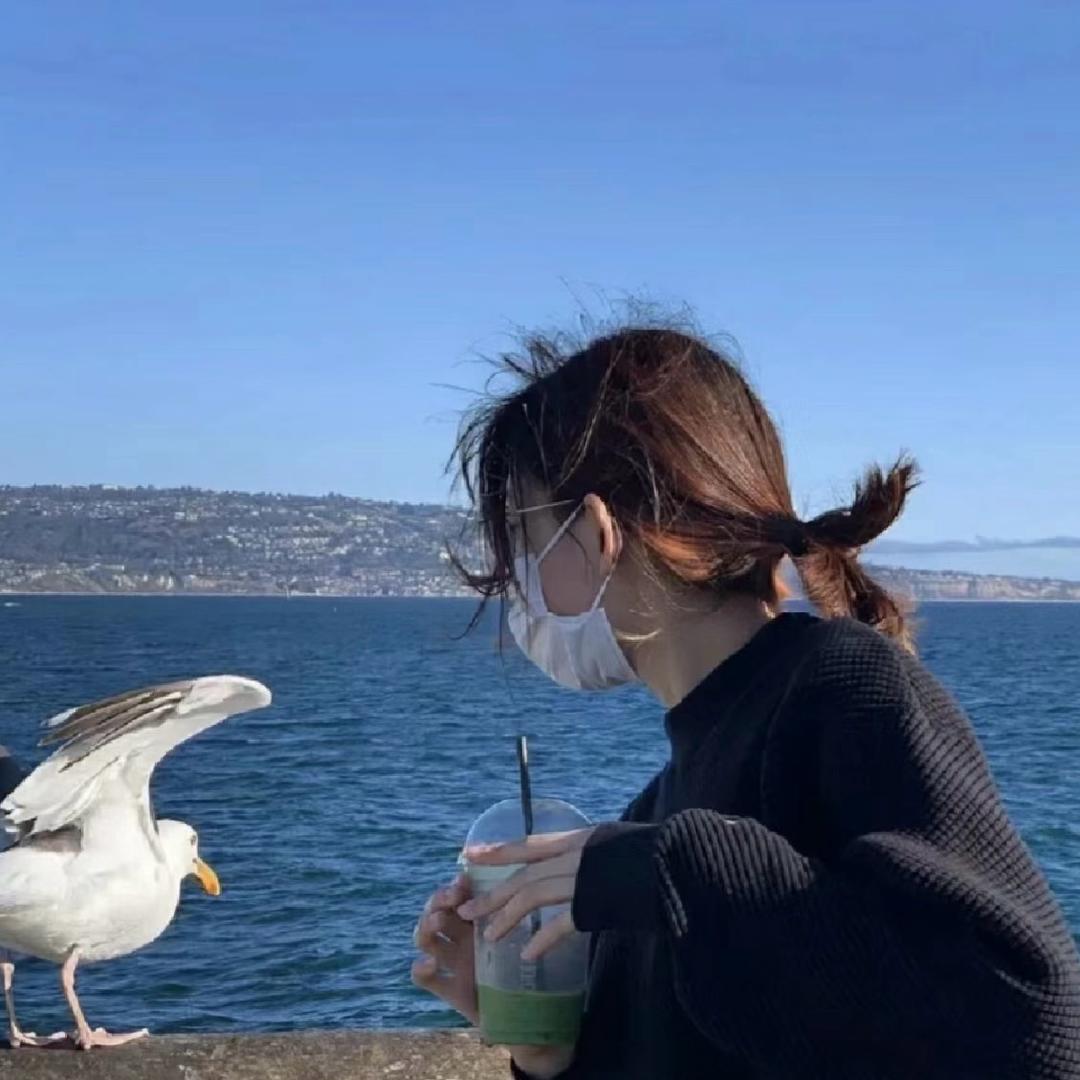 洪洪火火（好物）