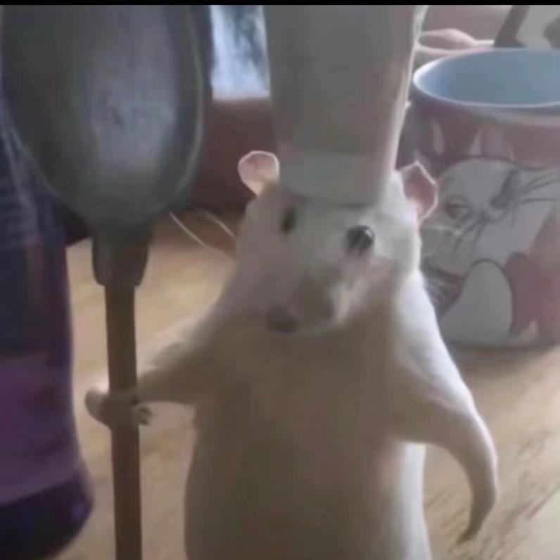 浙江工贸李佳鸿先生