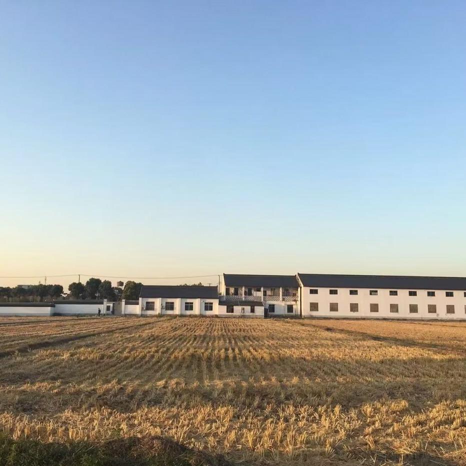 已黑化的羊肉串