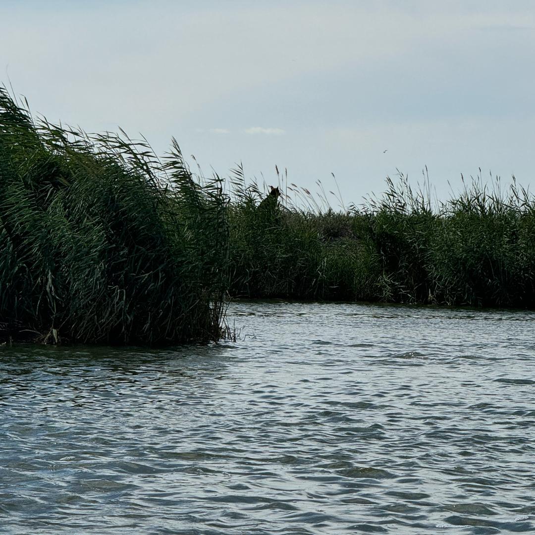 聋子听哑巴说瞎子看见鬼了