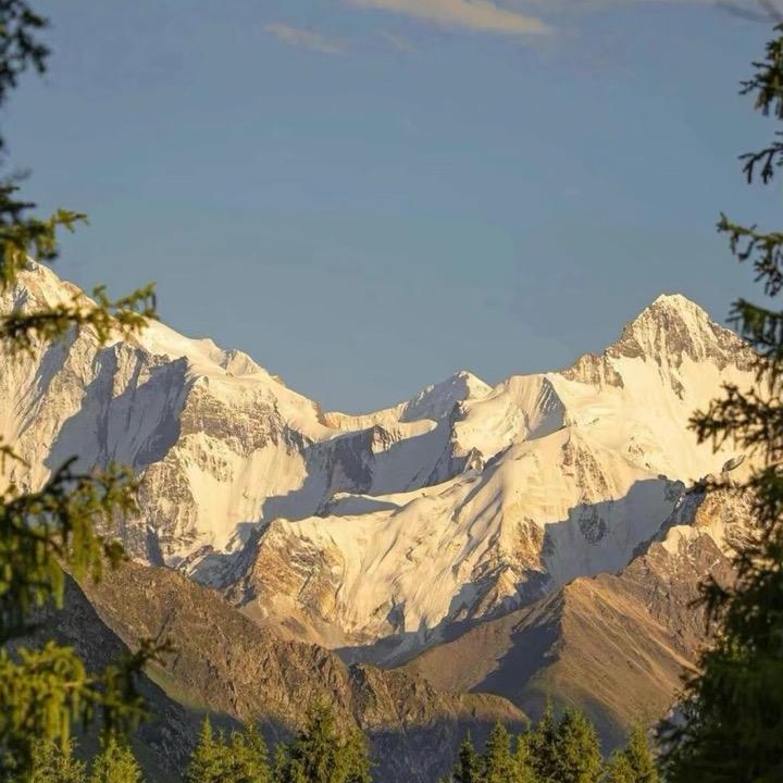 大飞飞的小铺子