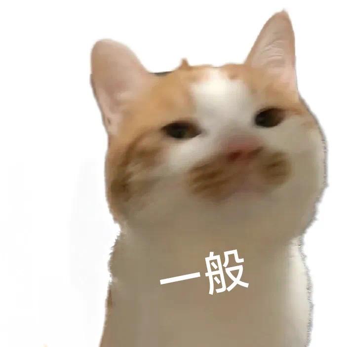 呱呱🐸