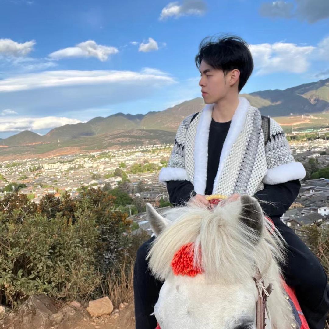 小李子包包