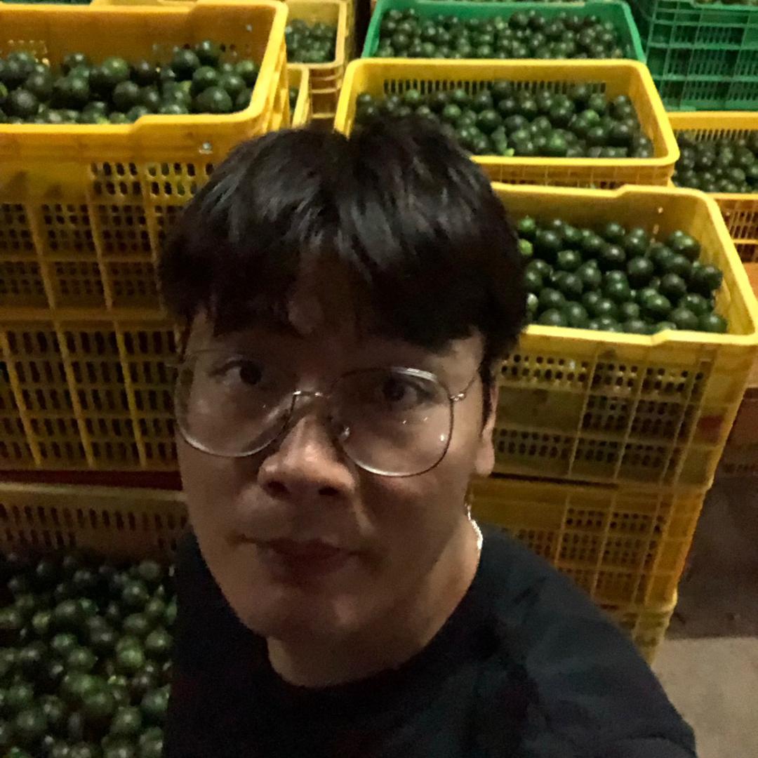 广西陈皮吴太淳
