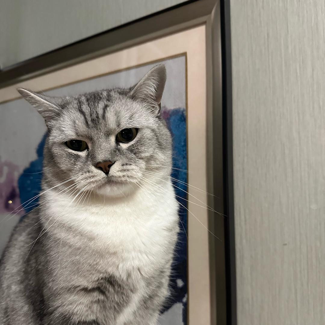 多多妈妈👩