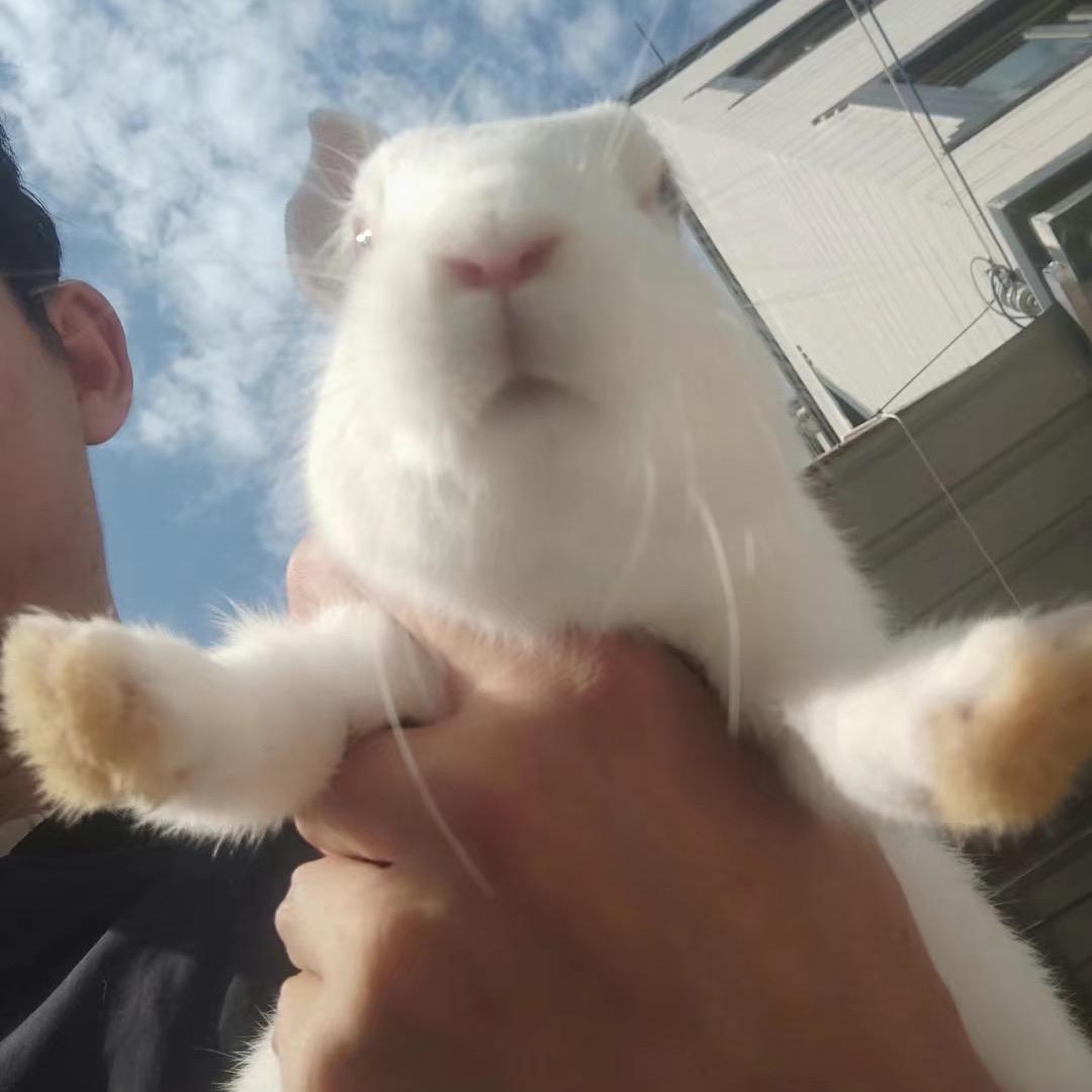 爱吃蛋挞