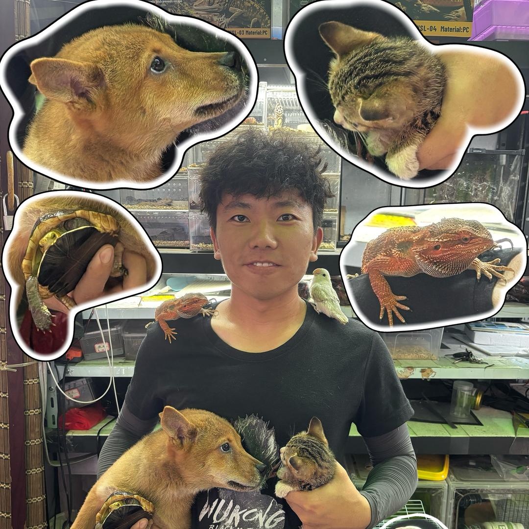 小章说宠物