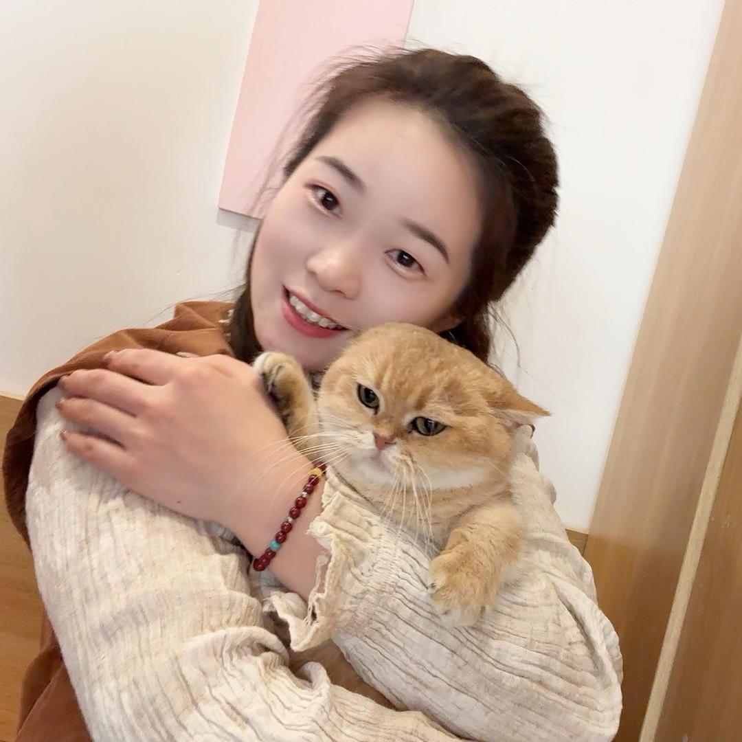 养宠宝的安安姐