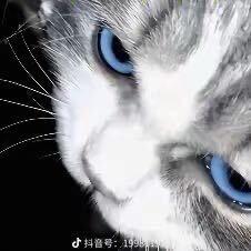 总被男人骗