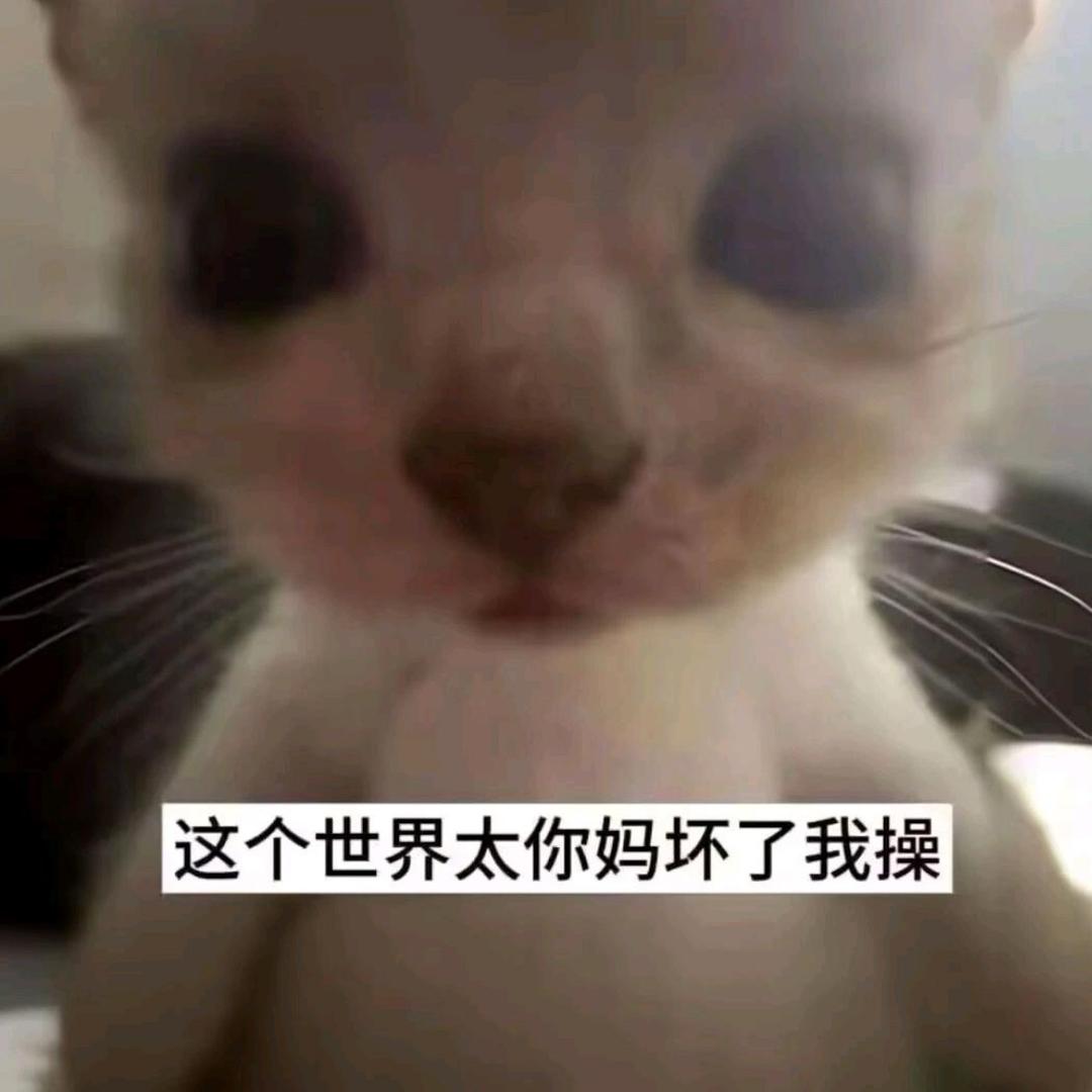 川子.