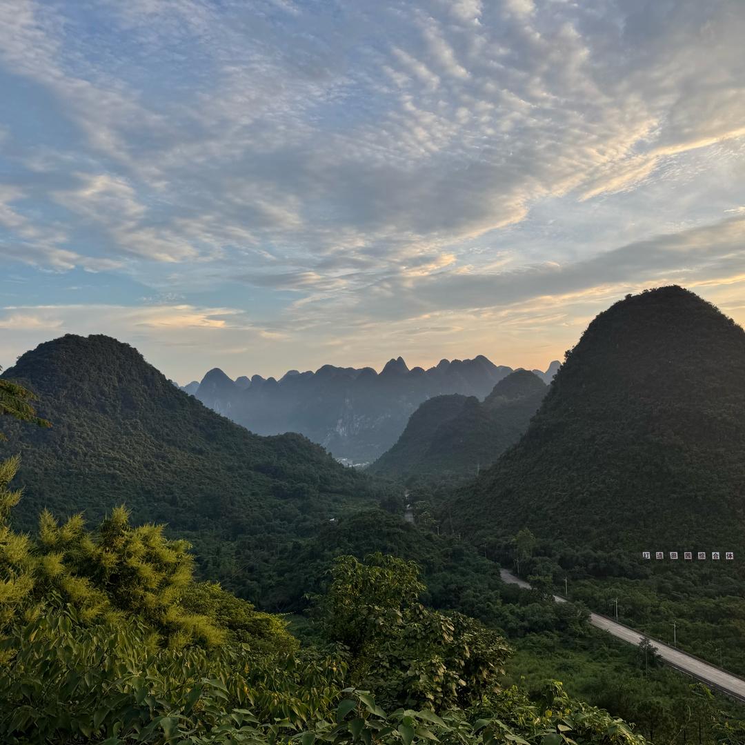 南城花落知多少