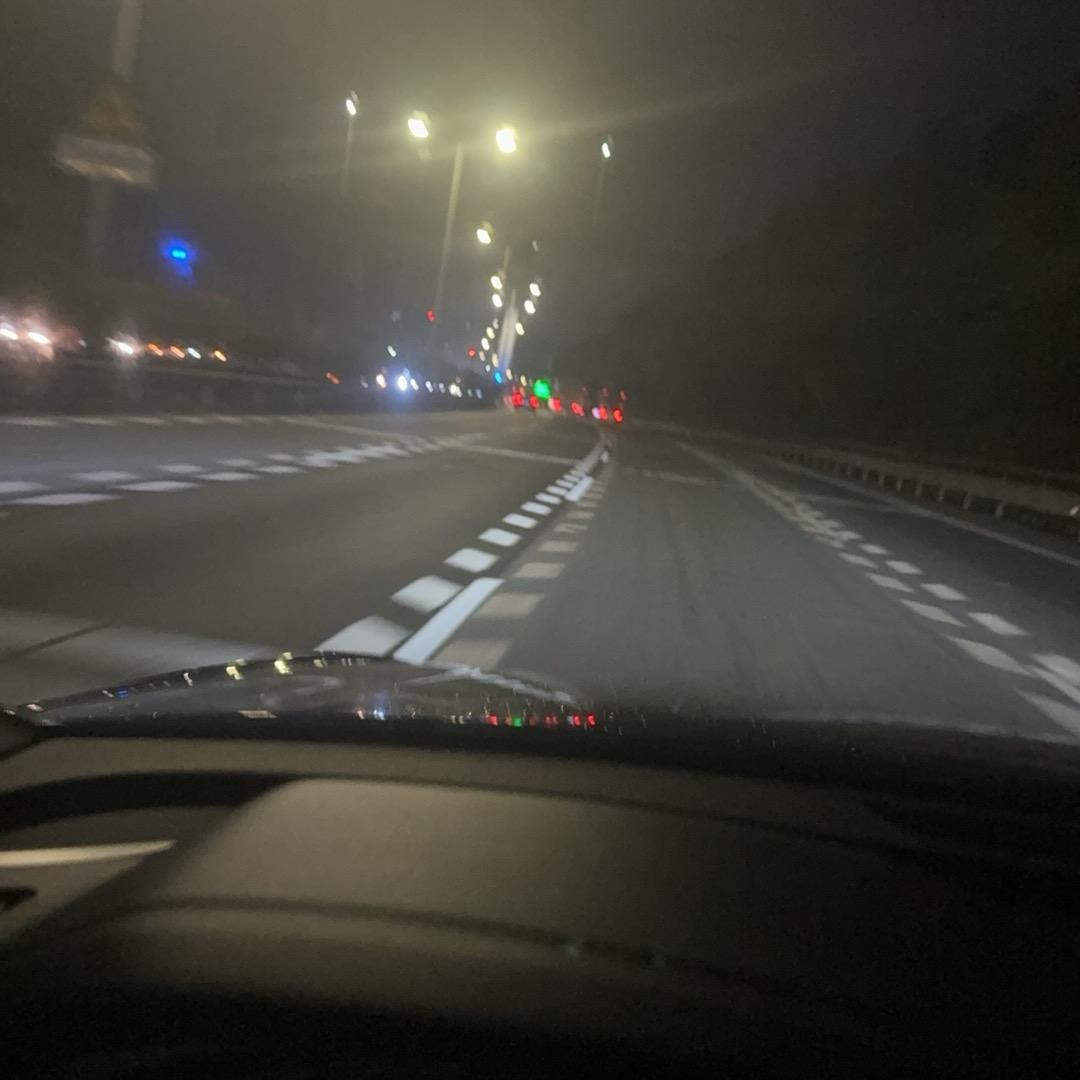 随风摇曳