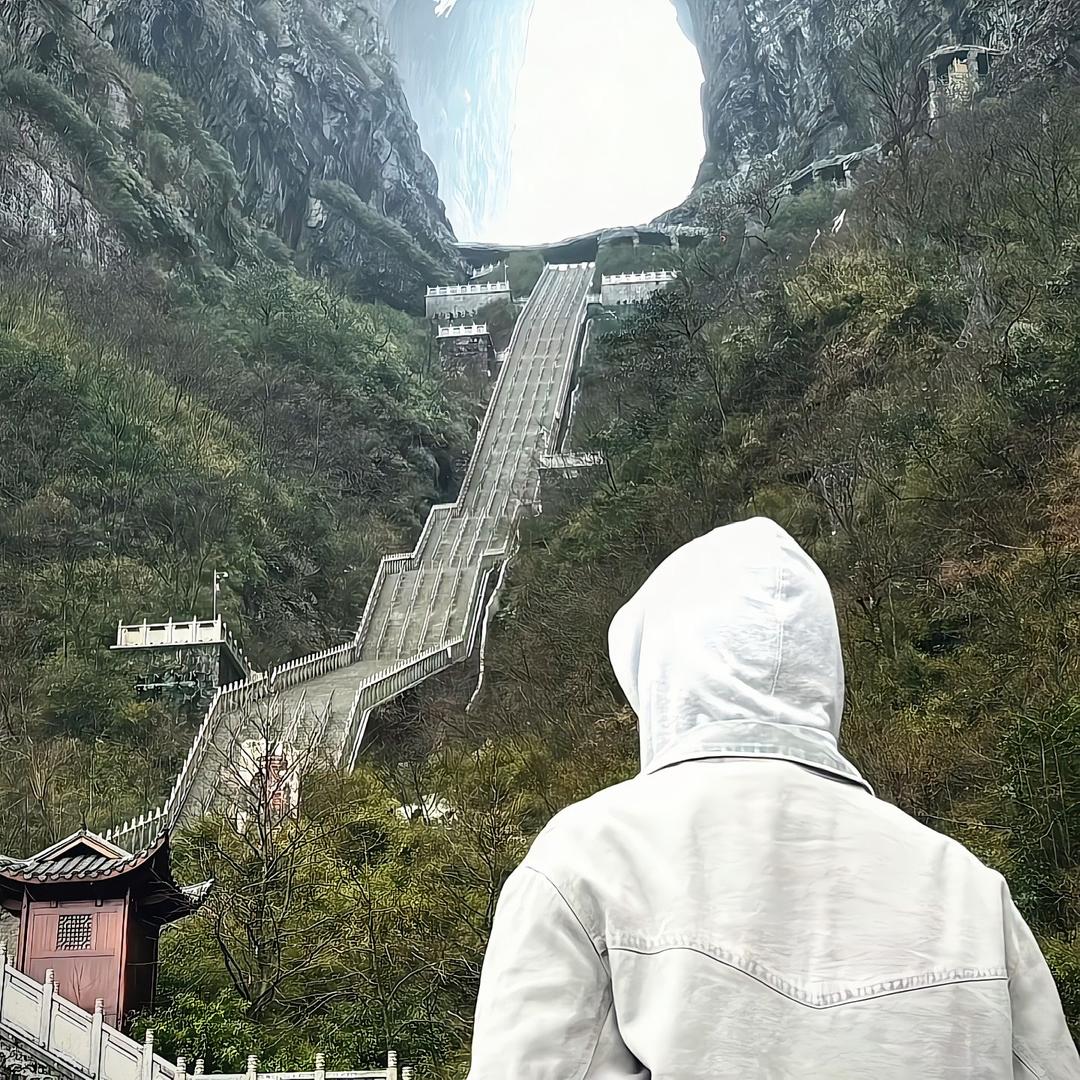 上岸