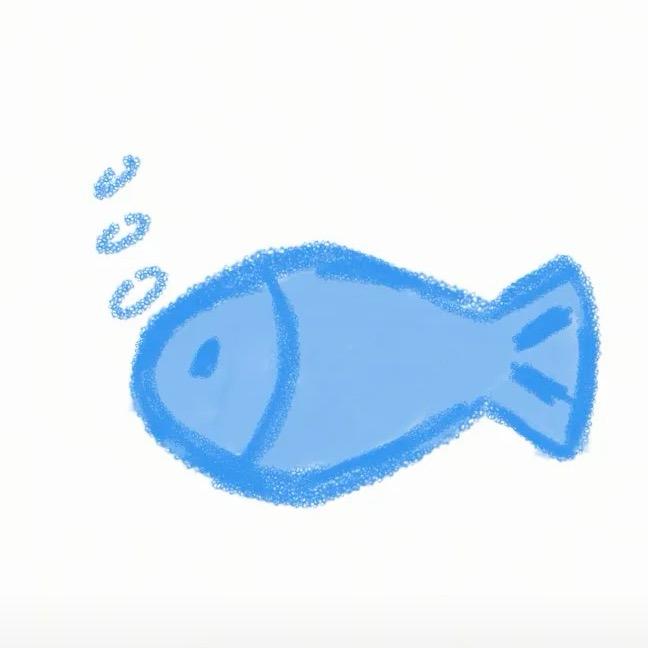 -C鱼