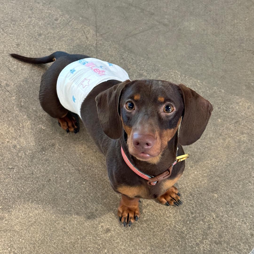 LILI&崽崽成长日记