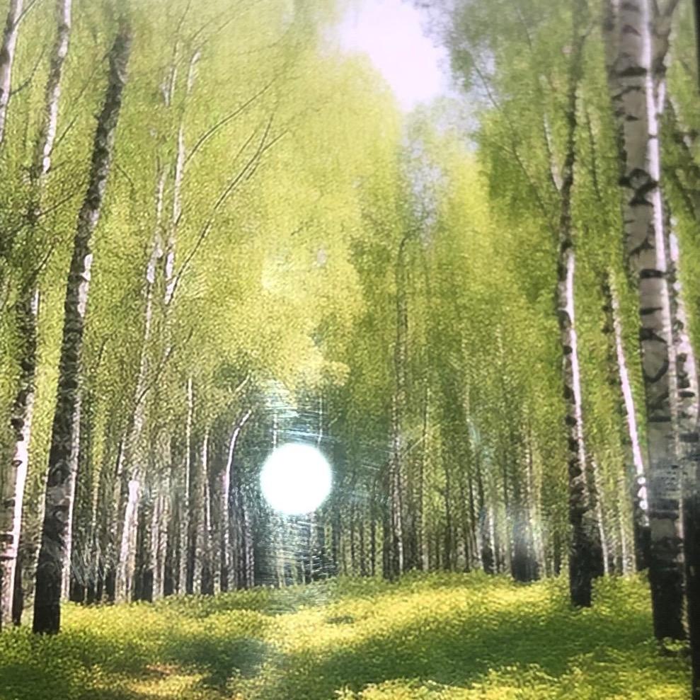 夏日的风