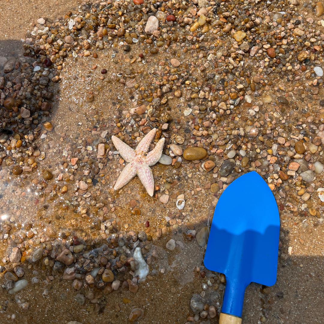 平凡日子里的光