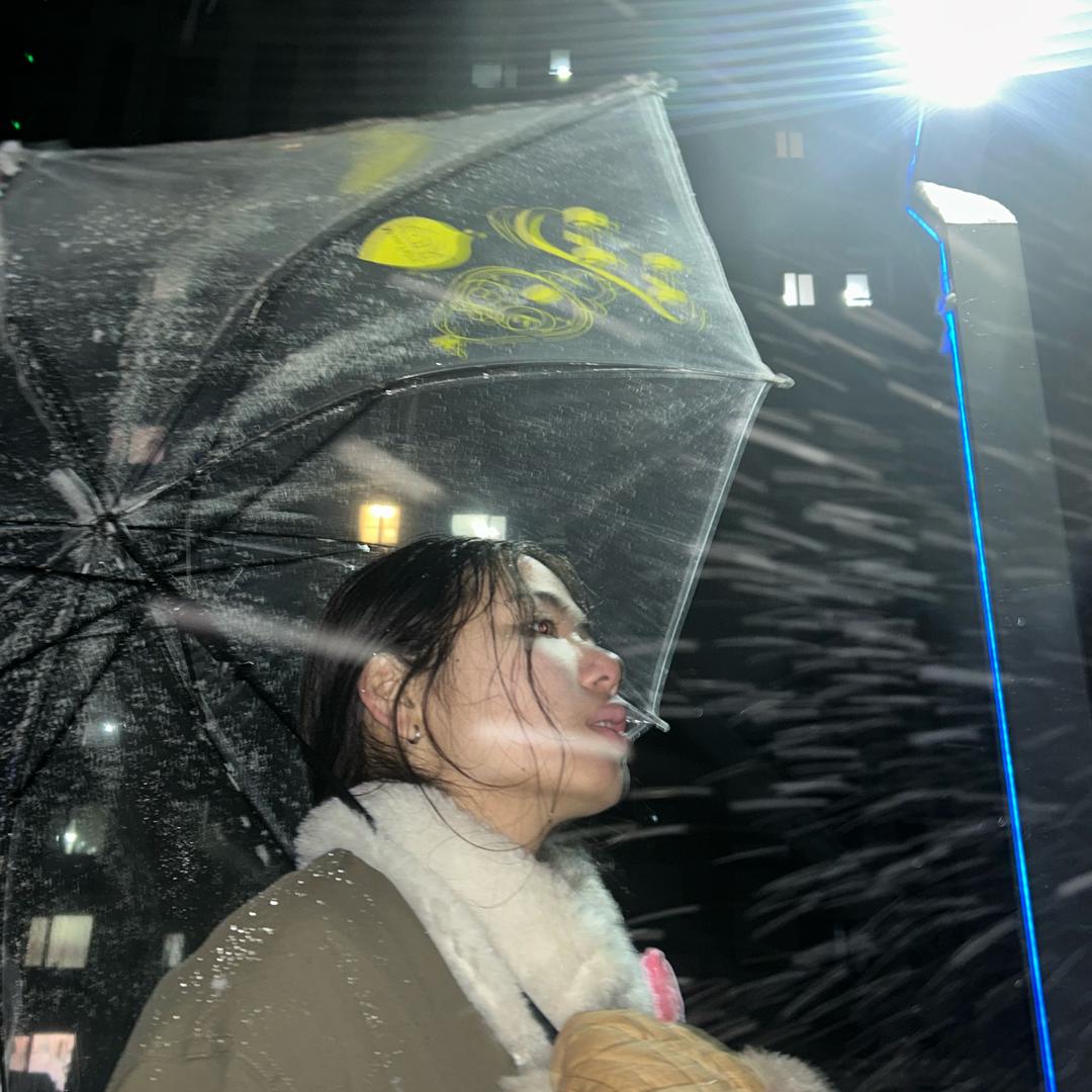 迪士尼在逃圣母