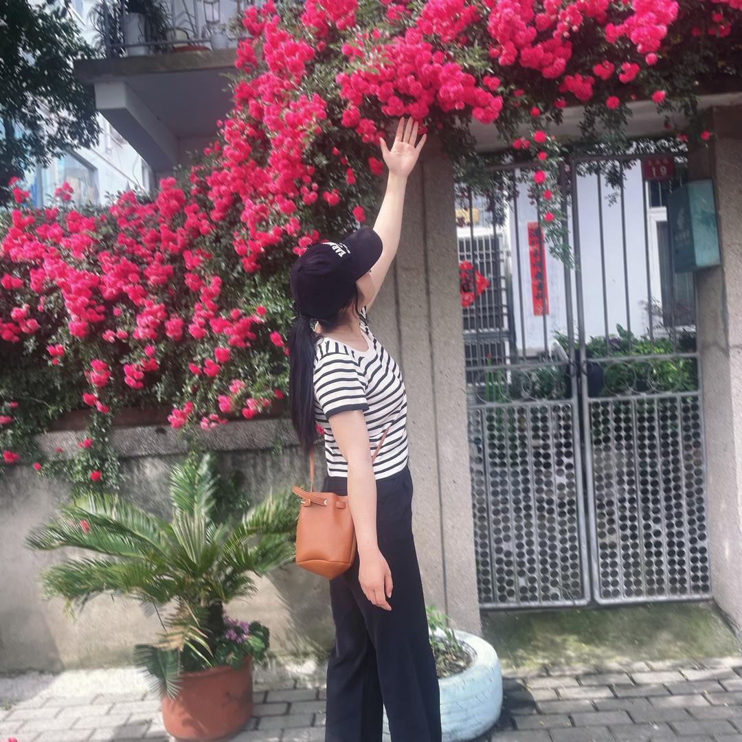 婷魅子