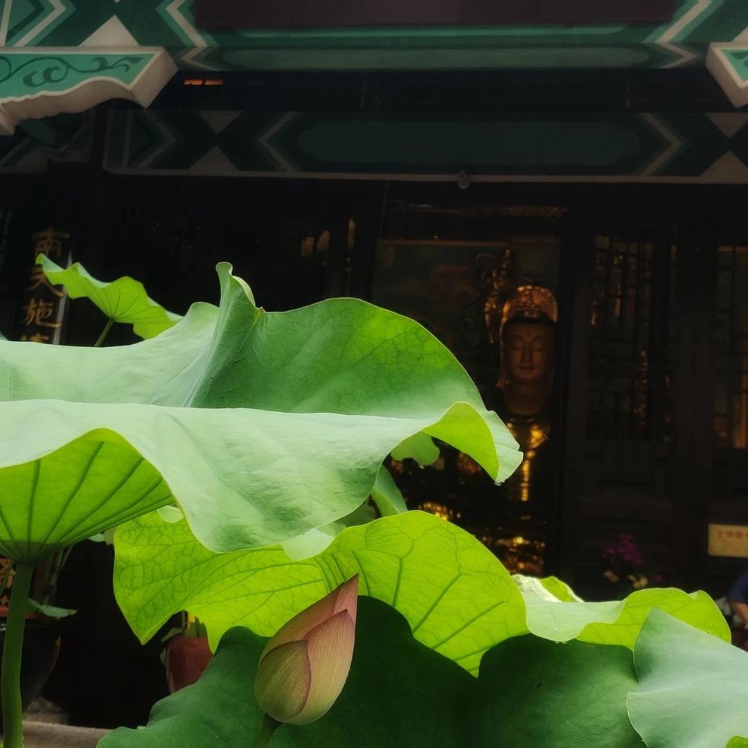 申明勋