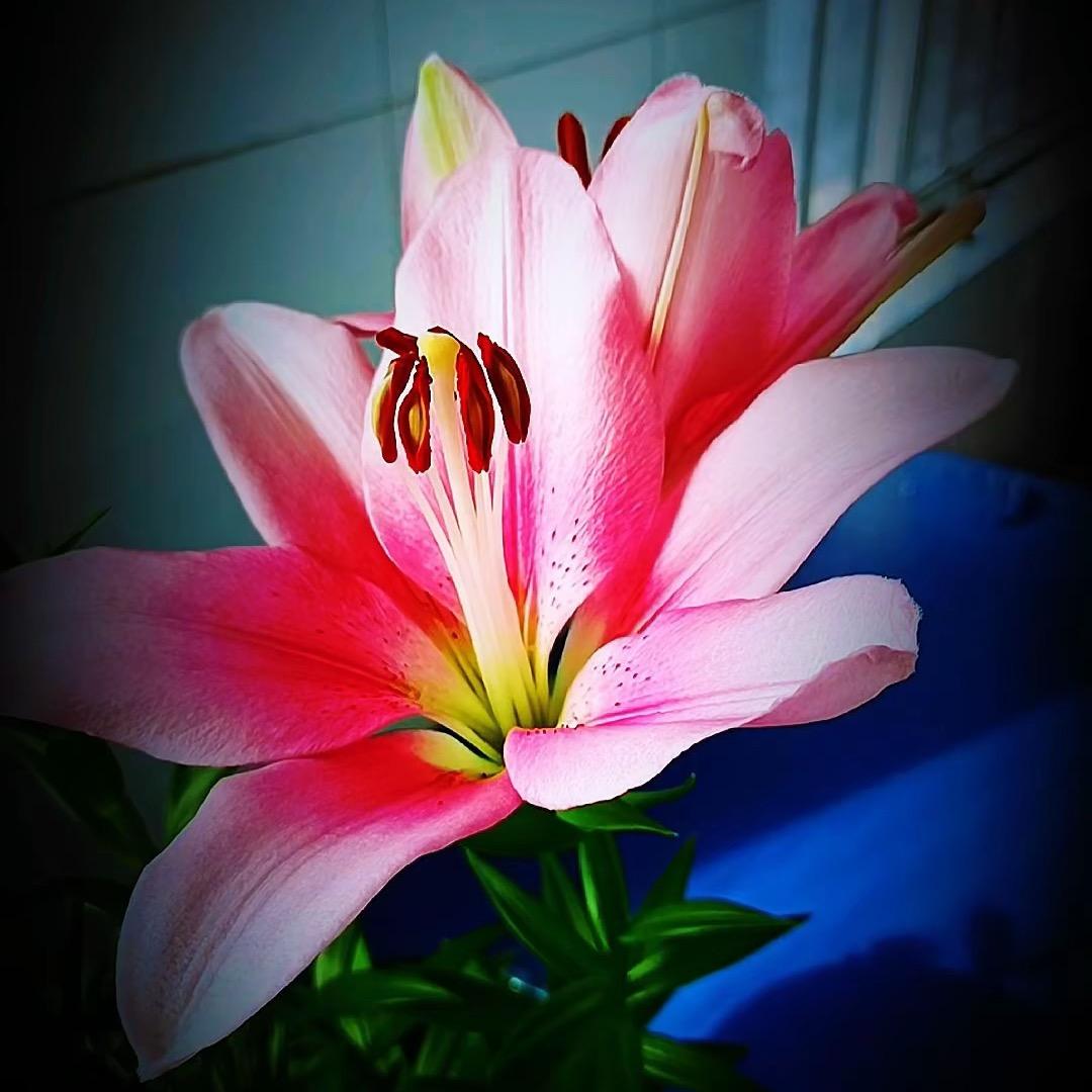 八零后“🌹不负余生🌹”