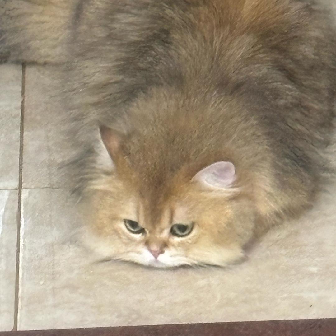 幸福降临我身边