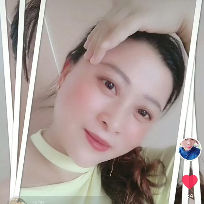 紫色蔷薇