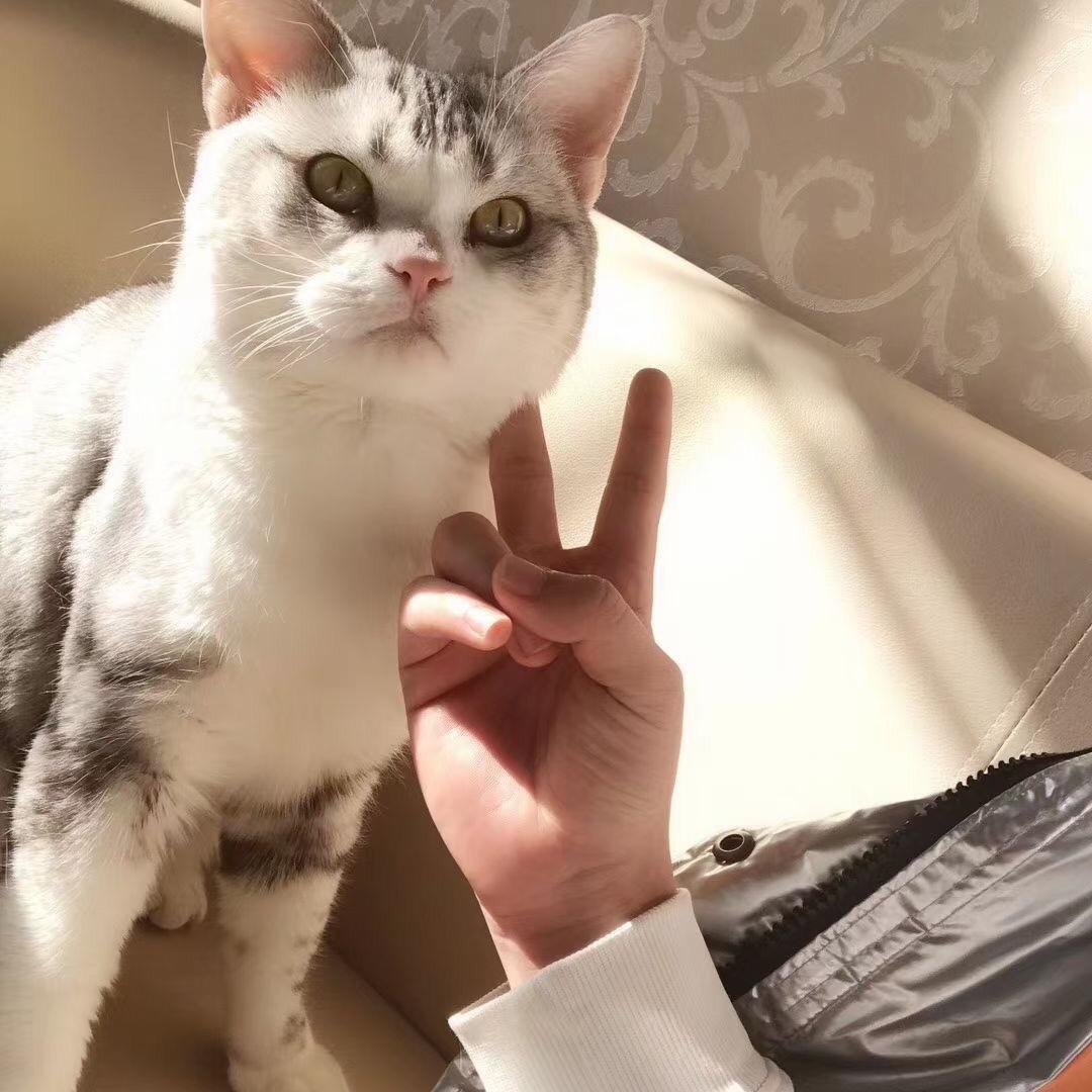 张富贵儿🫅（王者百星小代）