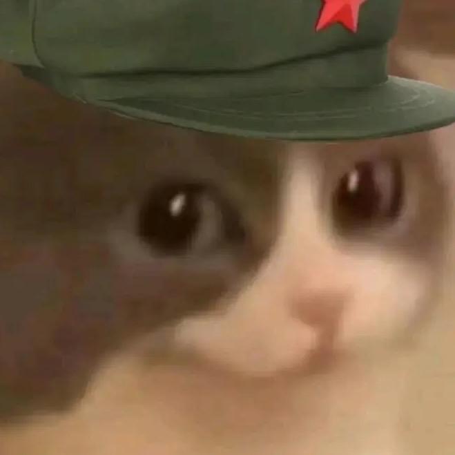 ？
