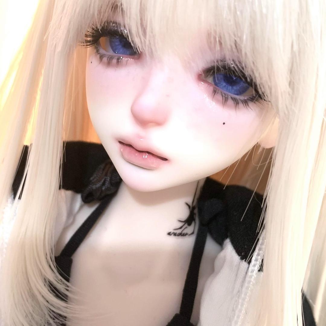 毛毛猫