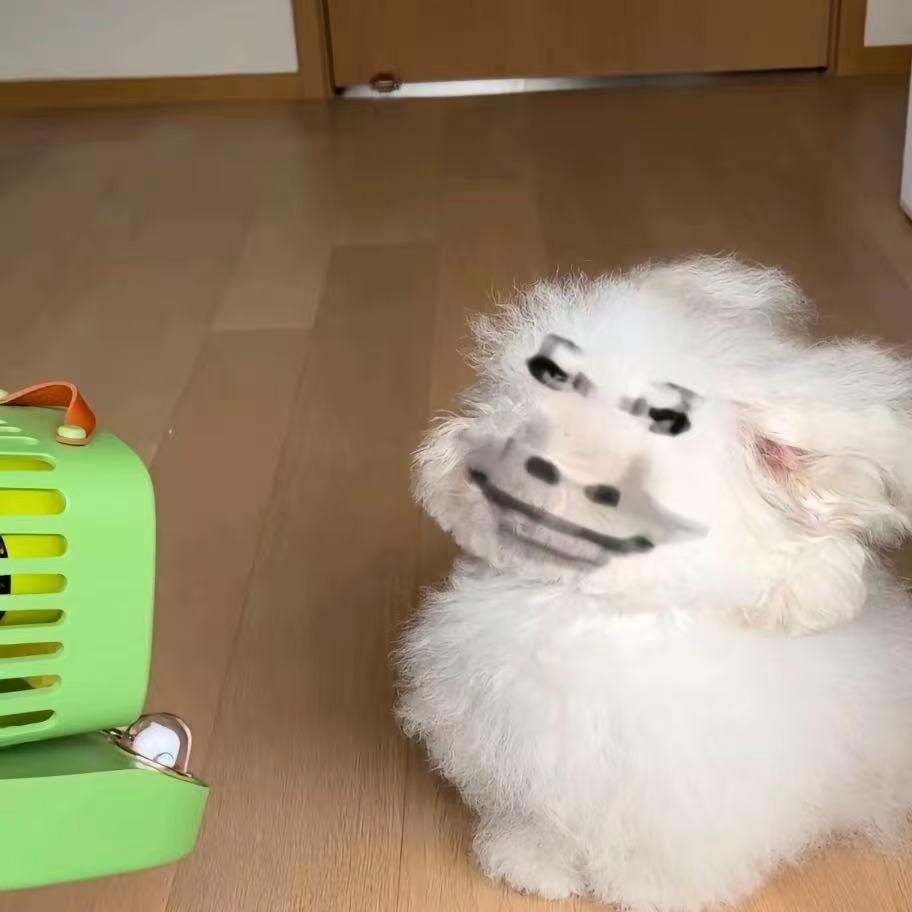 Y7
