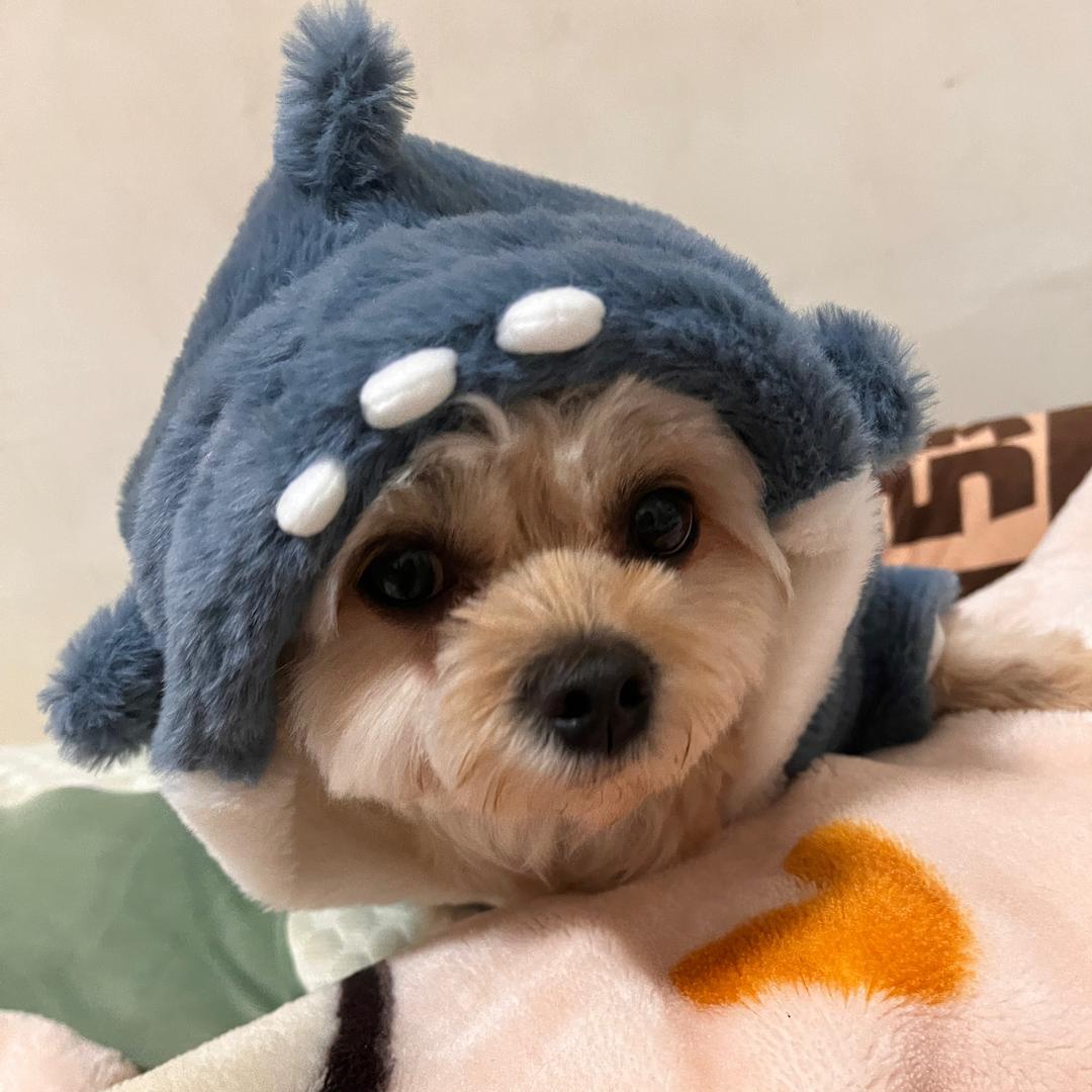 E-go🥽