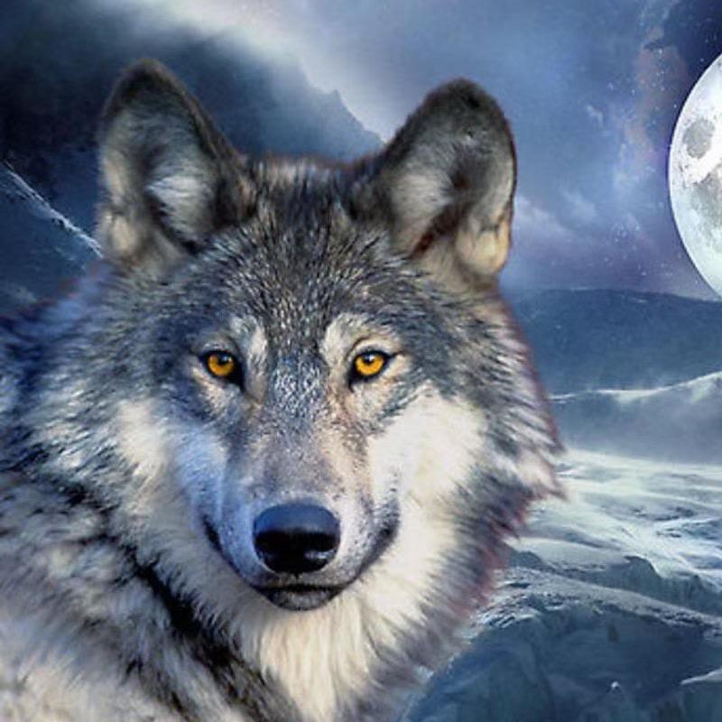 湖南五丰机械有限公司云飞运输服务部