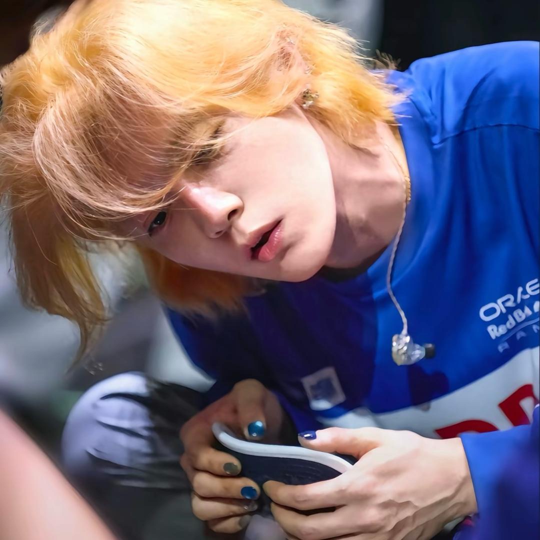 权威系男芦苇