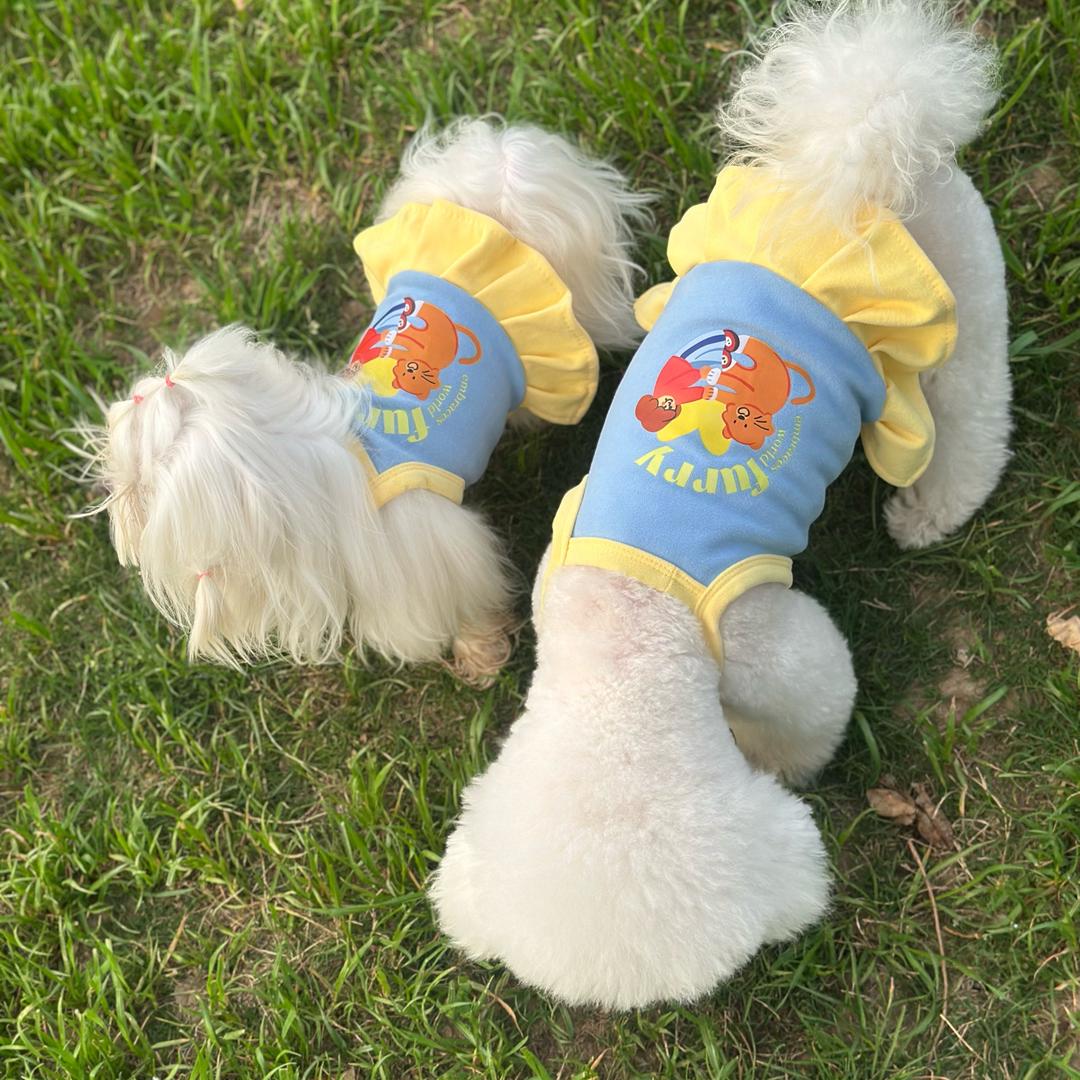 钱狗多和泡泡狗