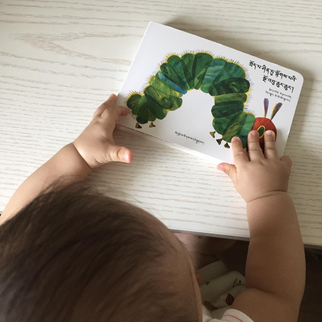 诺诺藏语早教托育园