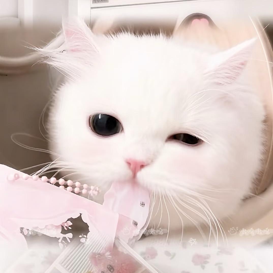 角色玉