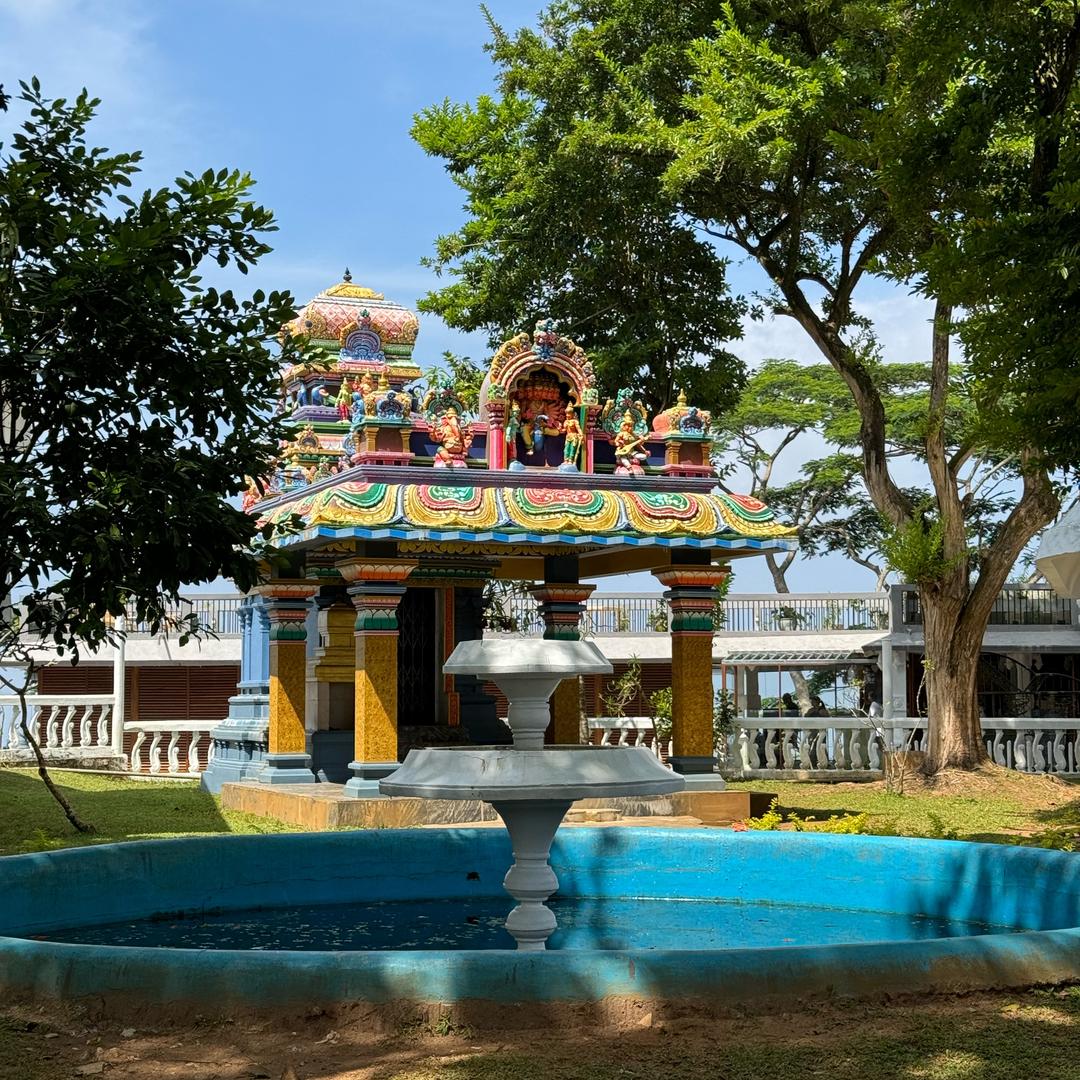 🌈 招财猫@小幸运