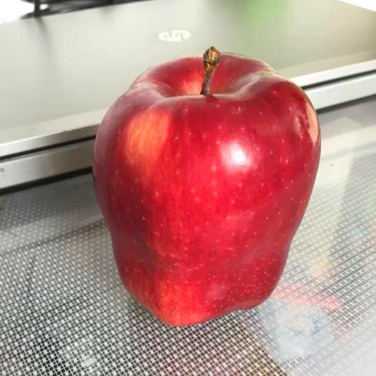 花舞网络