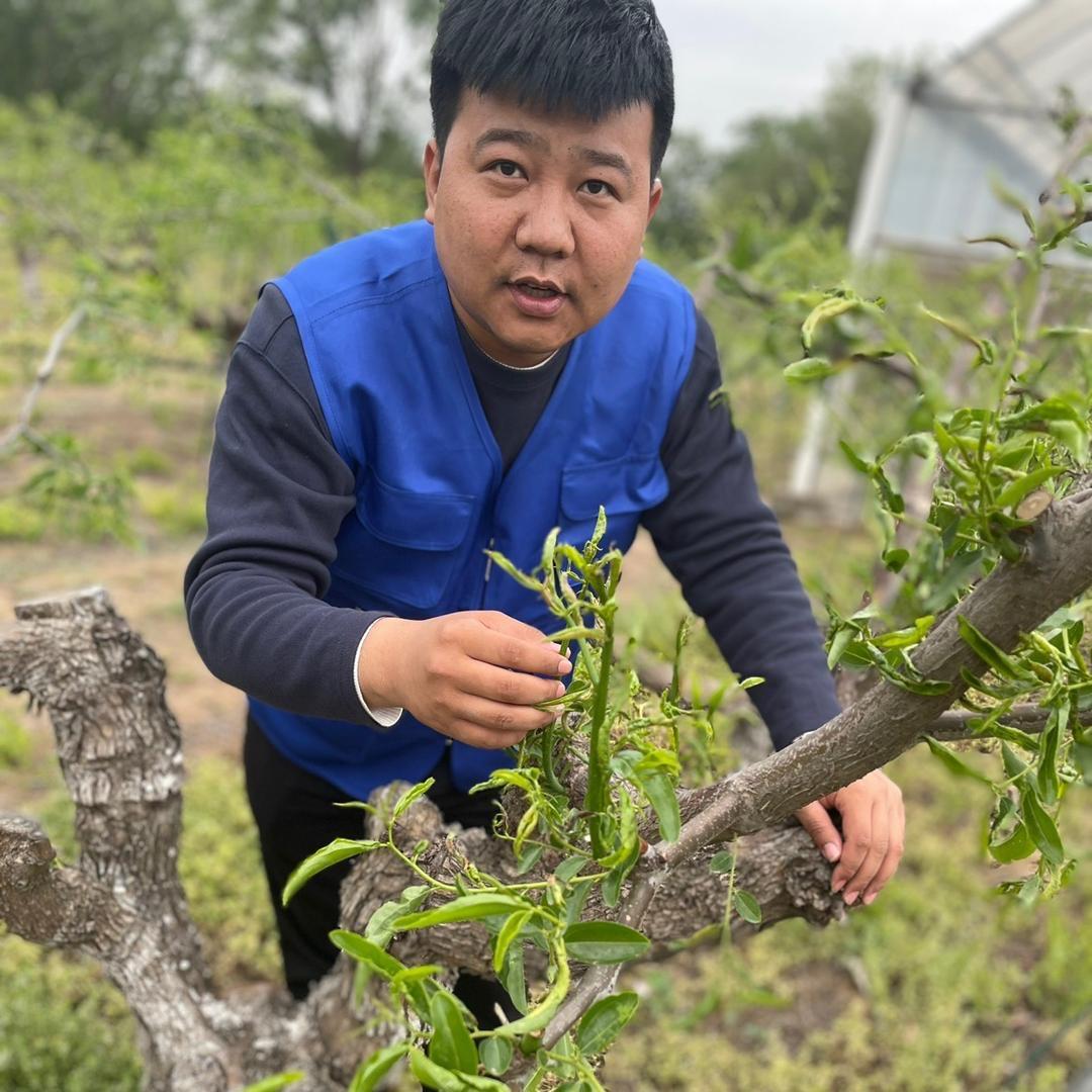 卖农资的小张
