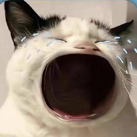 全世界最好的坤坤