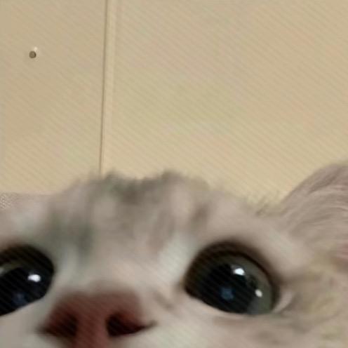 舒._